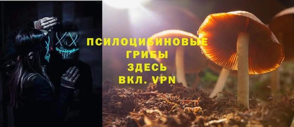 спайс Алексеевка