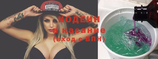 ГАЛЛЮЦИНОГЕННЫЕ ГРИБЫ Козловка