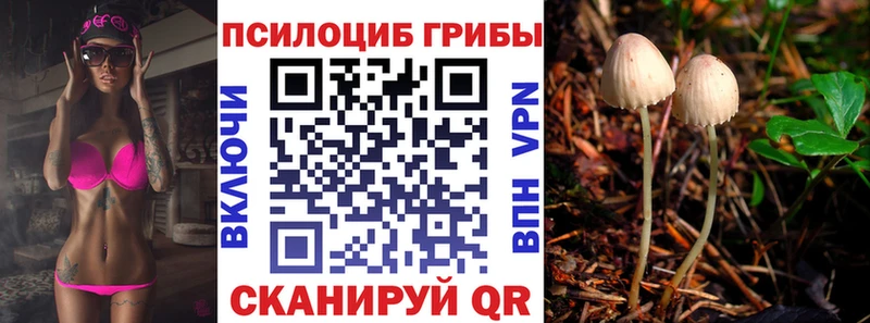 Псилоцибиновые грибы Psilocybine cubensis  Красногорск 